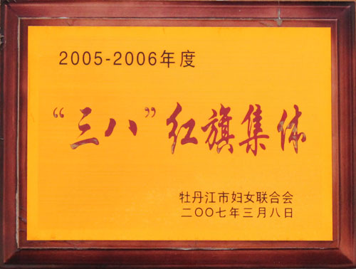 2007年03月荣获“三八”红旗集体