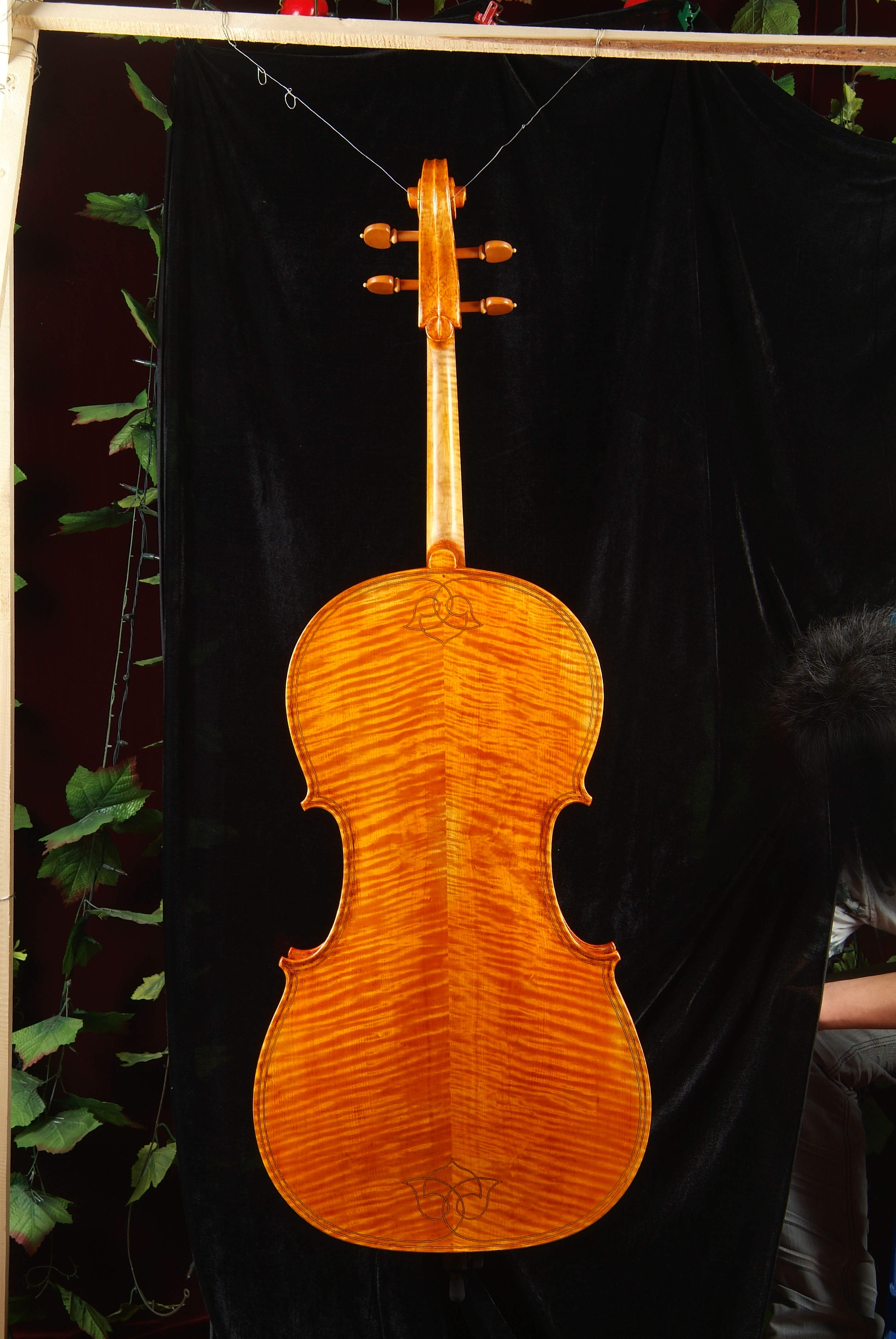 大提琴双线双花琴型背面