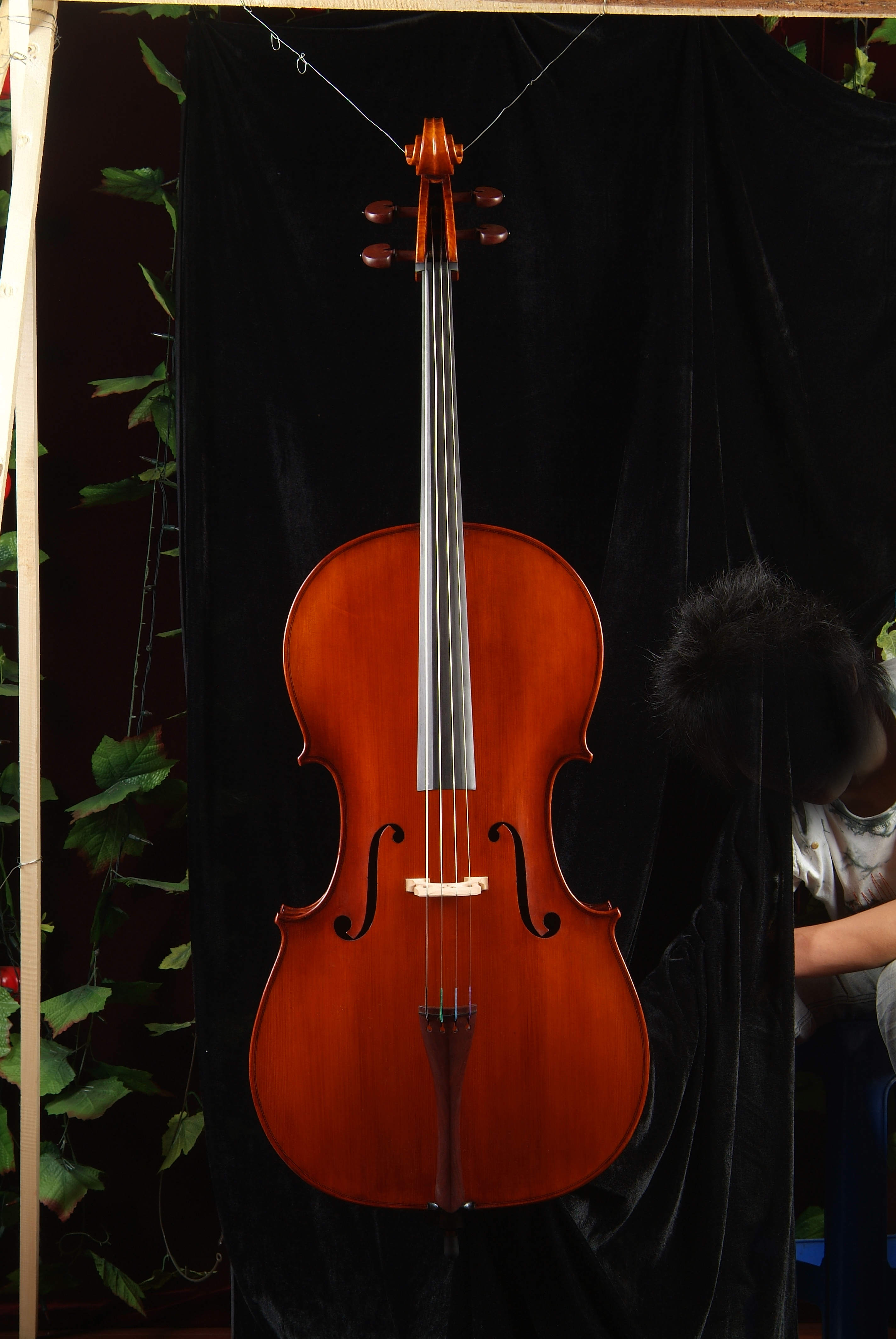 大提琴A级正面