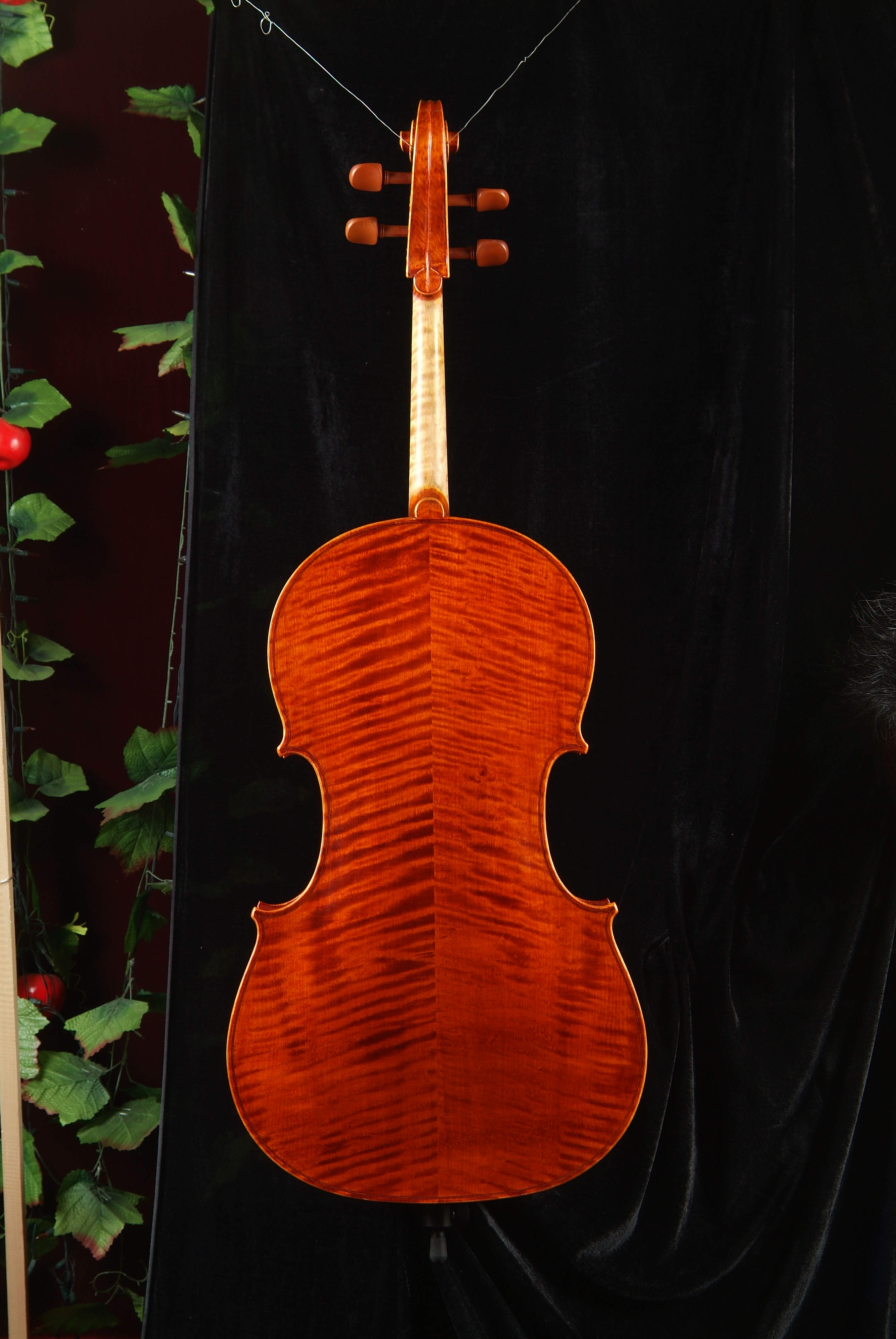 大提琴C级背面