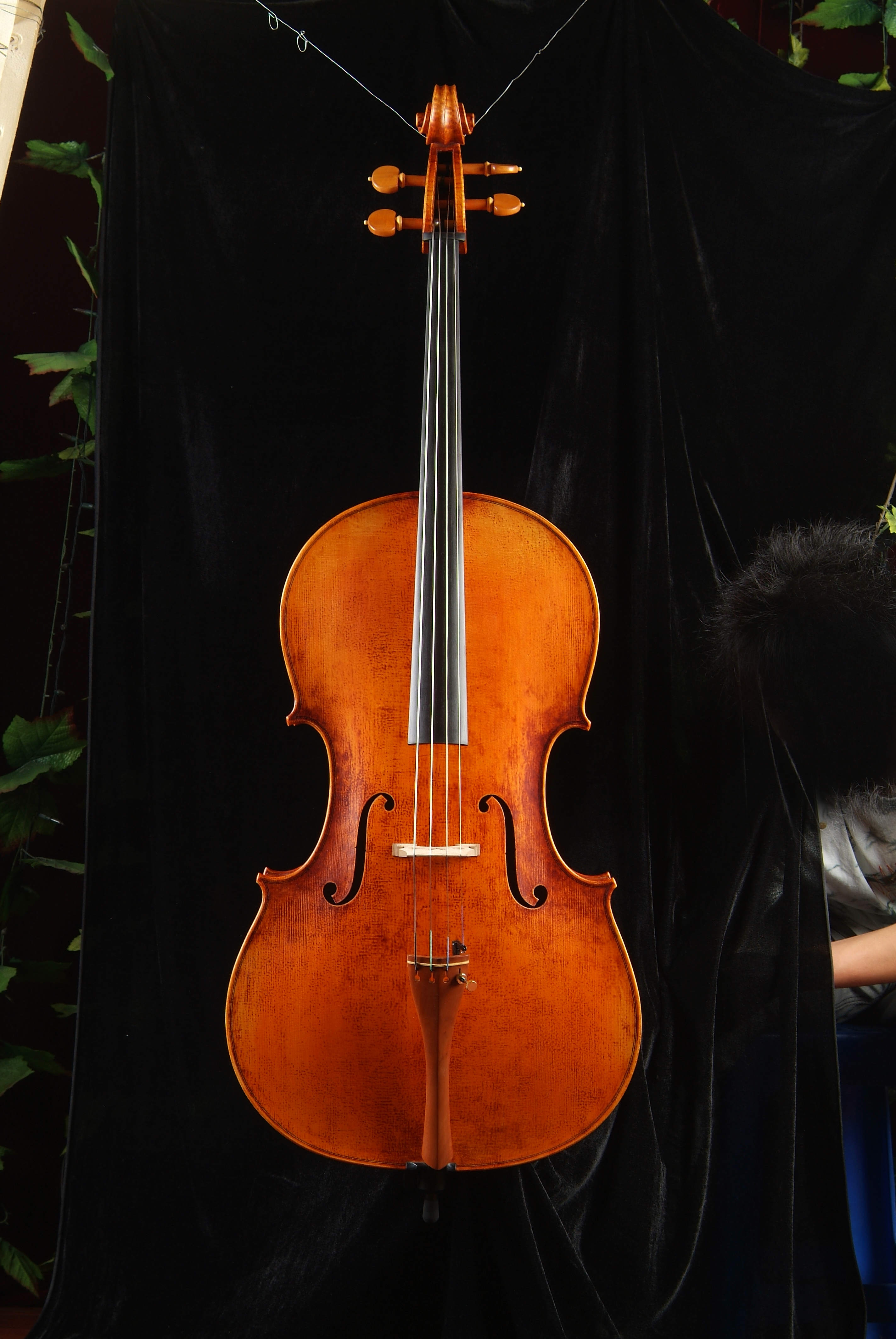 大提琴A级仿古正面