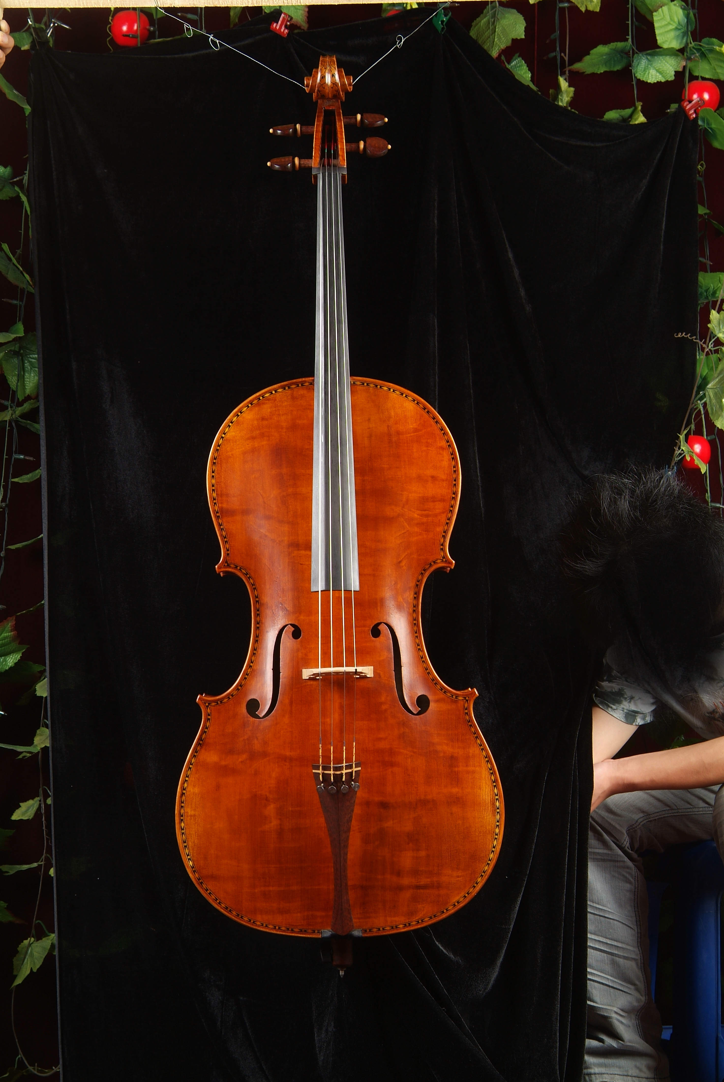 大提琴Hellier琴型正面