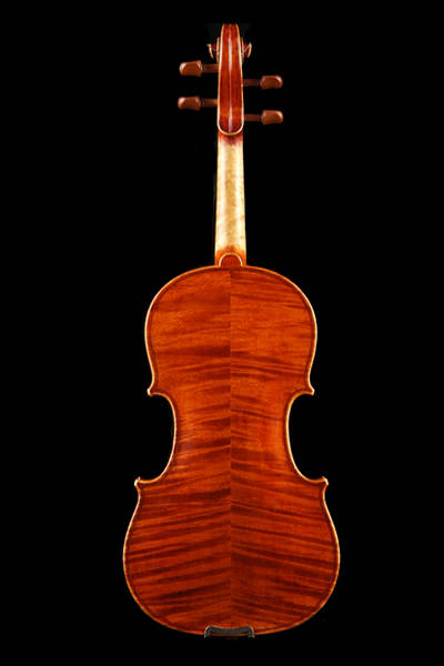 中提琴D级背面