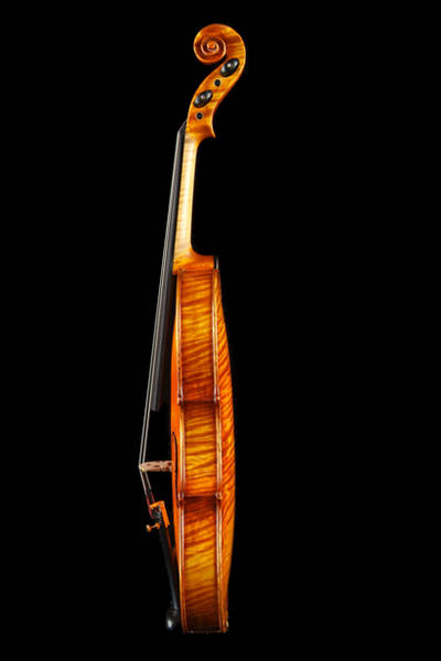 中提琴A级仿古侧面