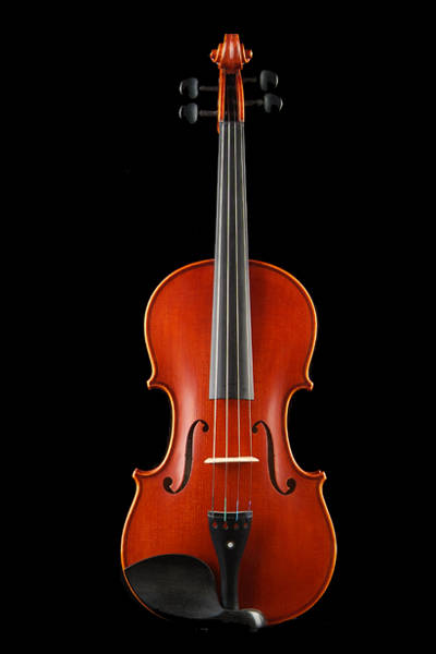 中提琴巴洛克琴型正面