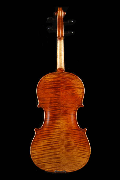 中提琴C级背面