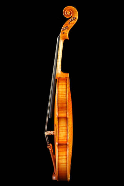 小提琴 欧料琴型B版侧面