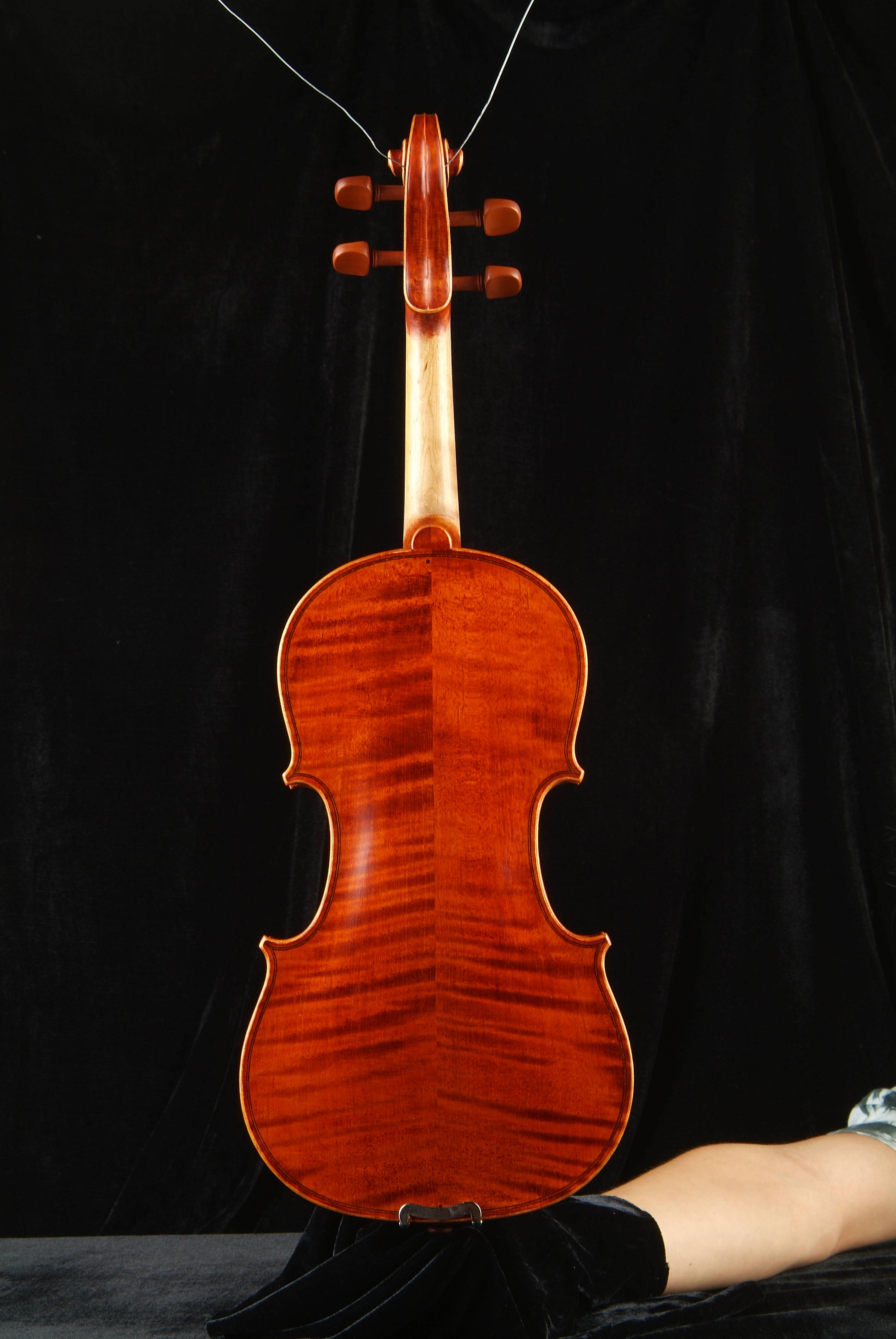 小提琴DD级背面