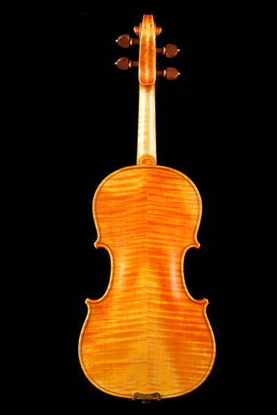 小提琴 欧料琴型B版背面