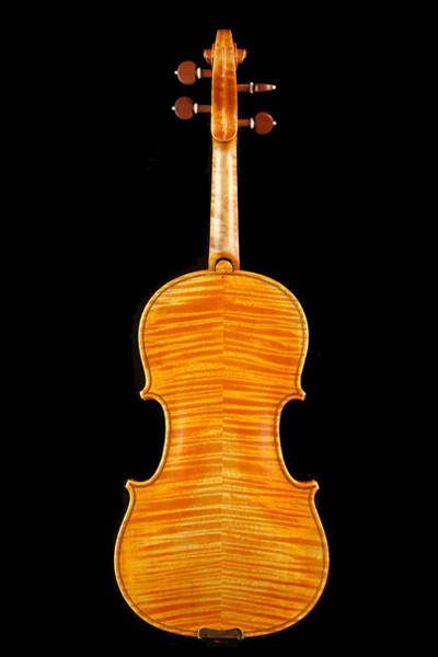 小提琴 欧料琴型A版背面