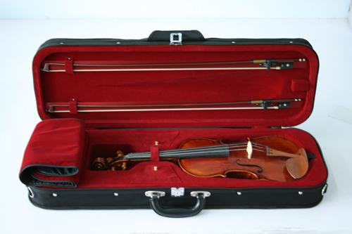 The popularity of violin case C2, No. A6-2 