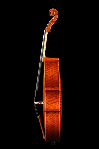 258 Cello C side 