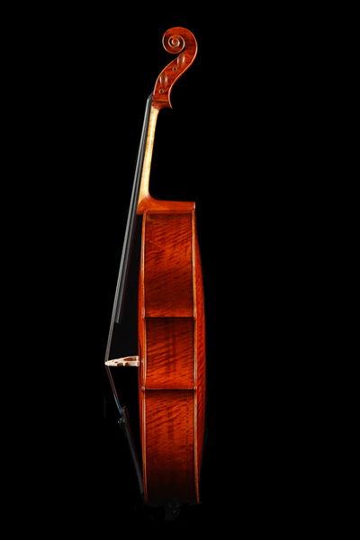 255 Cello D side 