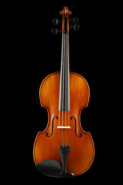 Viola hornless piano type a