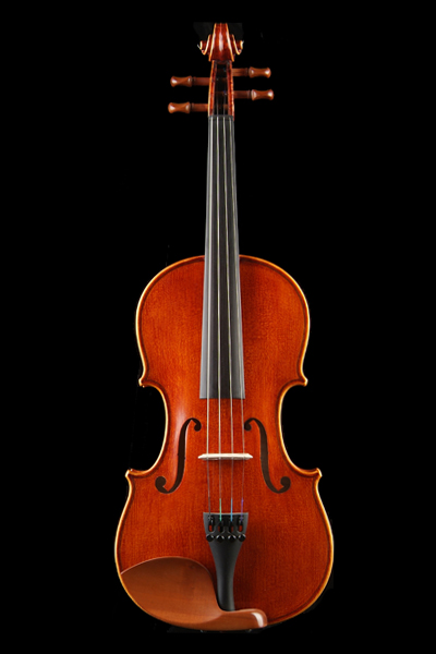 Violin Class D a